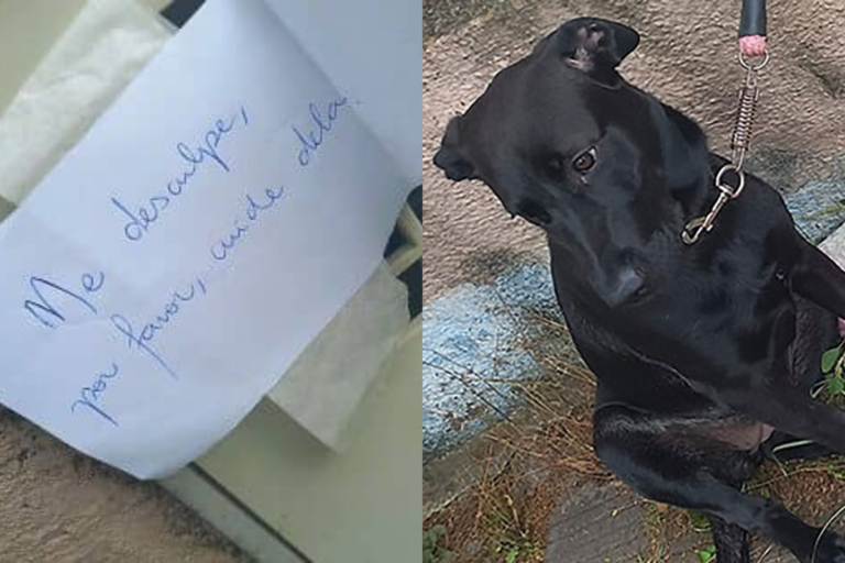 "Lo siento, por favor cuídala": Abandonan a perrita en la calle