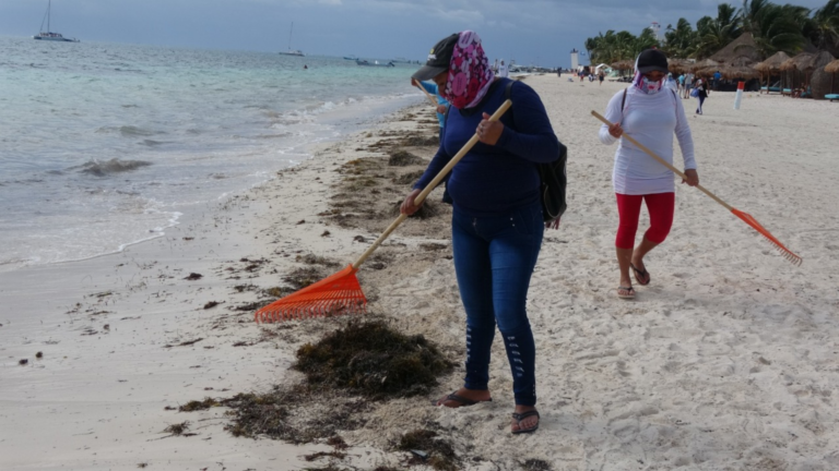 Refuerza gobierno de Puerto Morelos la limpieza de playas