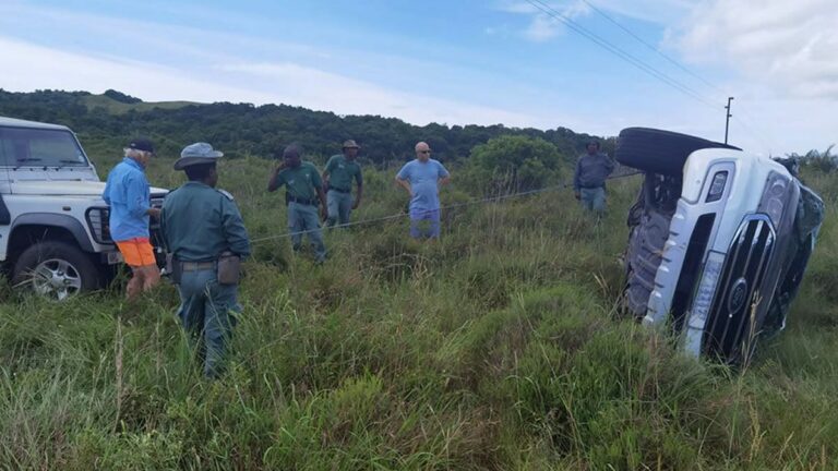 VIDEO: Un elefante enfurecido vuelca un auto con una pareja y dos niños