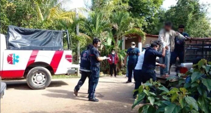 Un joven desapareció por cinco días en la selva de Quintana Roo; por suerte fue localizado con vida aunque deshidratado. Foto: Sipse