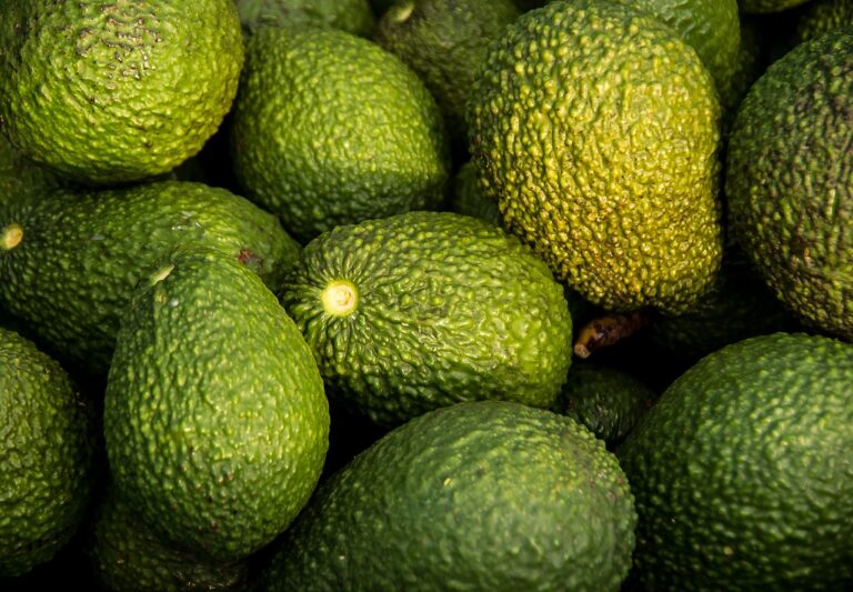 Aguacate, cerveza y tequila, los productos mexicanos con más demanda en EEUU