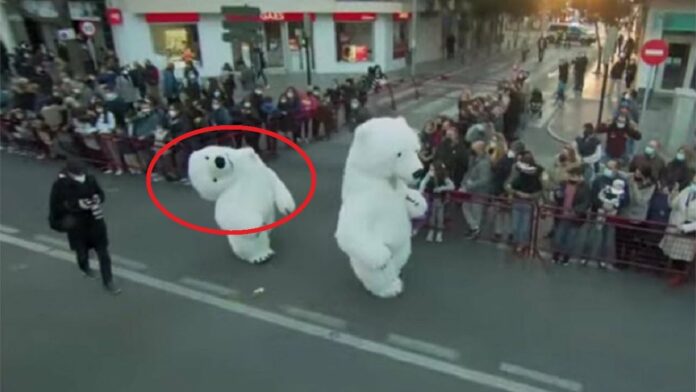 Oso polar decapitado