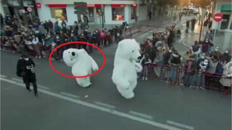 Oso polar decapitado