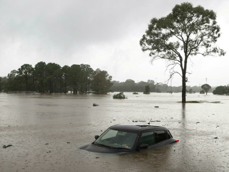 Padre e hija sobreviven a inundación tras aferrarse a las ramas de un árbol por dos días