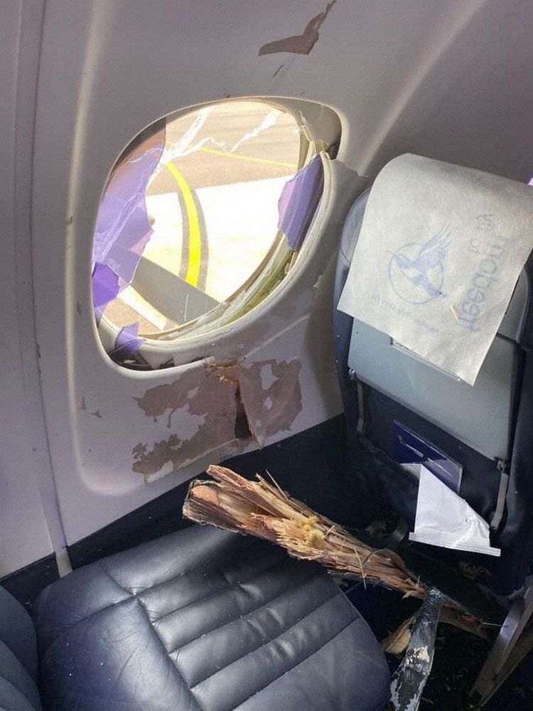 ¡Insólito! Ave de gran tamaño choca contra un avión en pleno aterrizaje