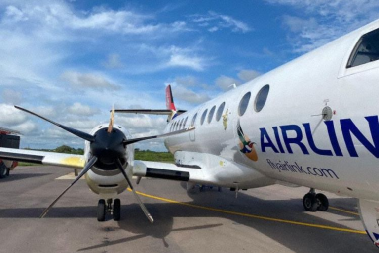 ¡Insólito! Ave de gran tamaño choca contra un avión en pleno aterrizaje