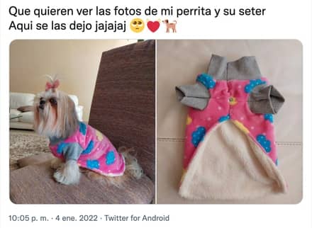 Critican a joven por hacerle un suéter a su perro