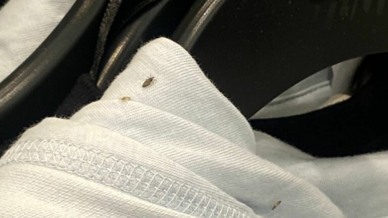 Empleada de H&M publica fotos de la ropa con piojos y causa polémica