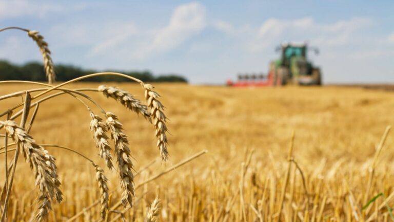 Invasión de Rusia a Ucrania tendrá impacto en empresas mexicanas, aumentos en materias primas