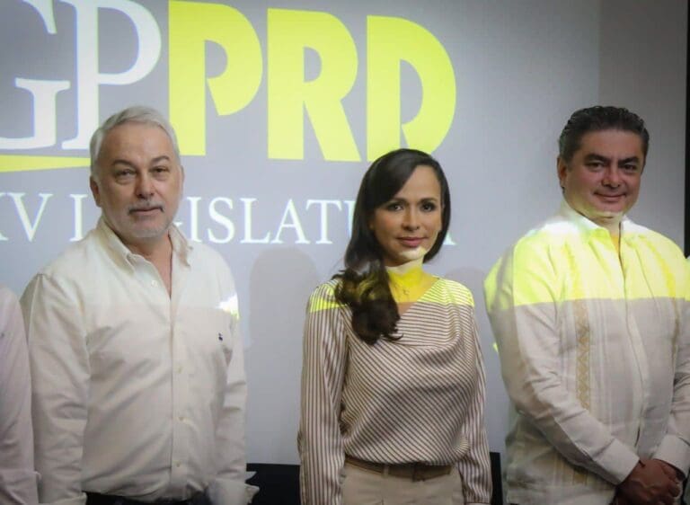 Laura Fernández participa en reunión de diputados del PRD