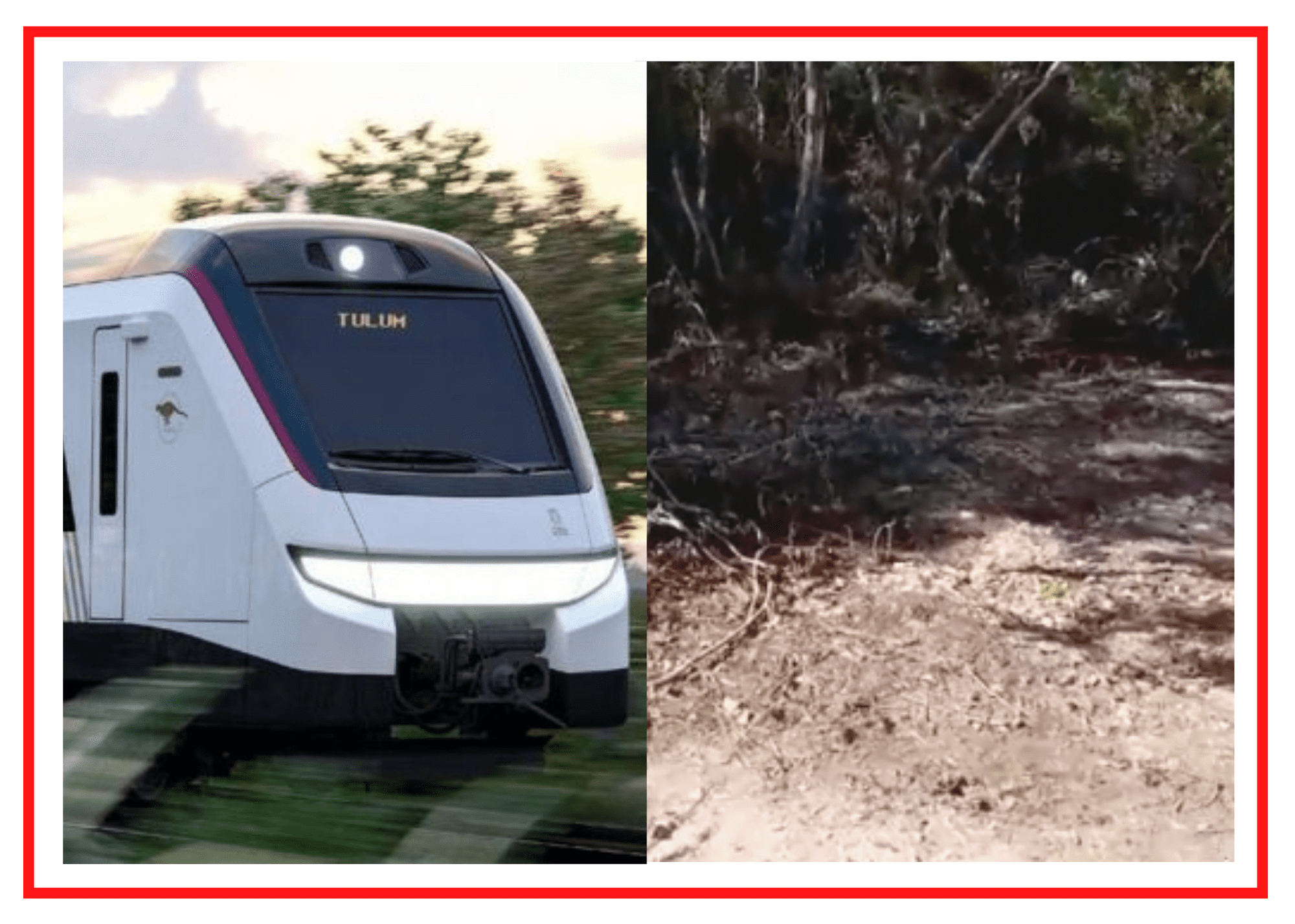 Nueva ruta, nueva afectación: desmontan senderos en Akumal para el Trazo 5 del Tren Maya