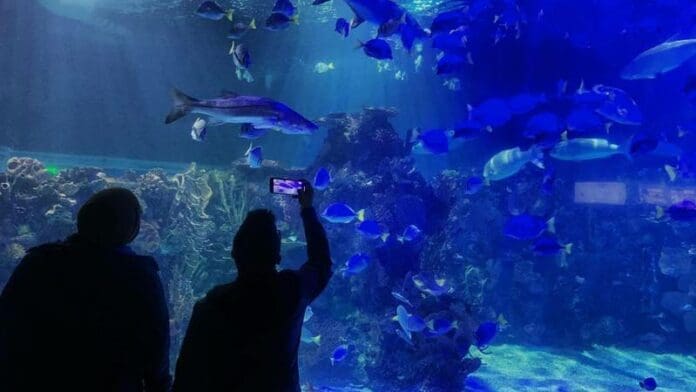 La mujer murió ahogada dentro de un estanque, aparentemente cuando realizaba sus labores como hidrobióloga. (Acuario Inbursa)
