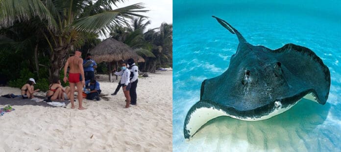 Turista sueca es picada por un mantarraya en Tulum