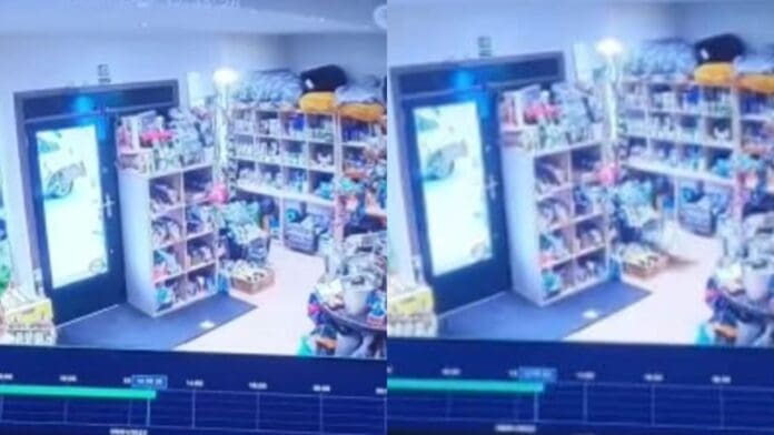 Tienda de mascotas sufre ataques paranormales y pide ayuda a grupo de 'cazafantasmas'