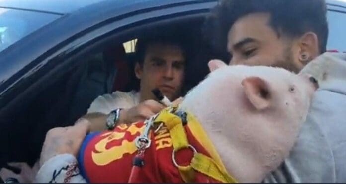 Un futbolista del Barcelona dio un autógrafo a un fan. Lo curioso del caso es que la firma la estampó en el uniforme que traía un cerdito. Foto: Captura de video