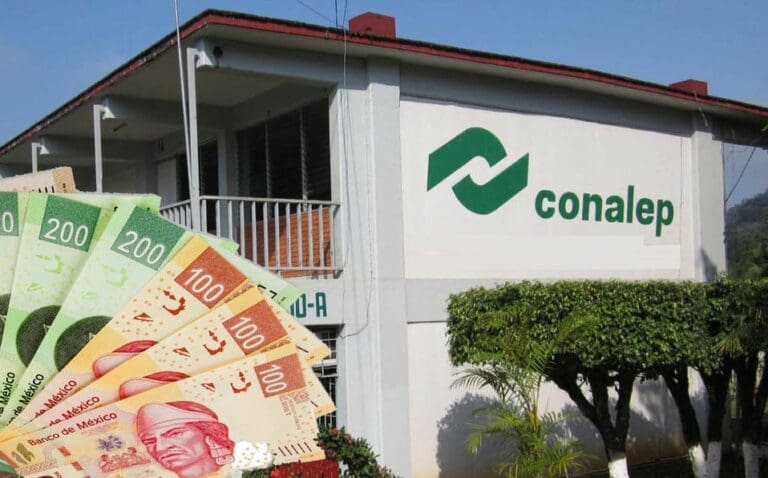 ¡Canadá busca egresados del Conalep! Ofrece empleo con sueldo de 50 mil pesos