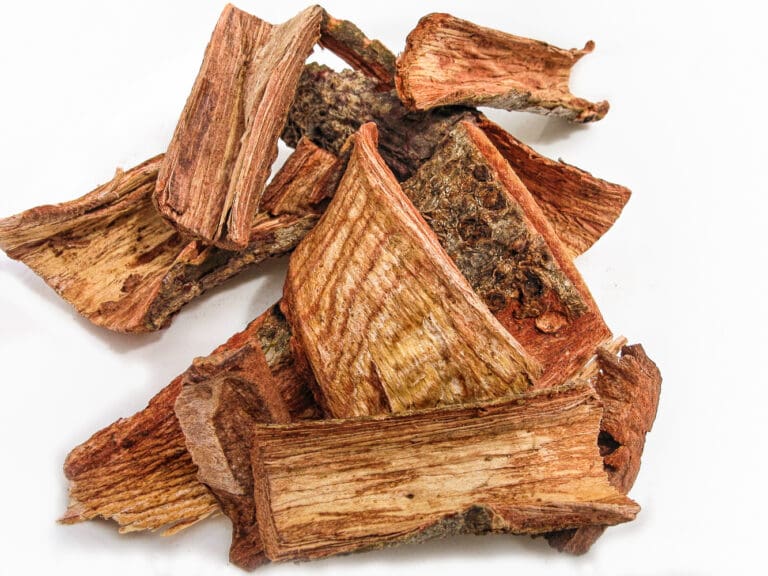 Cuachalalate: La planta mexicana que ayuda en tratamientos contra el cáncer