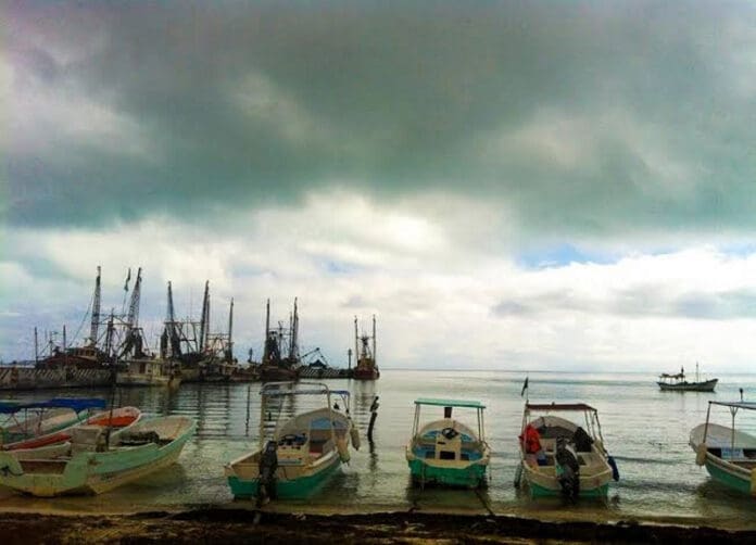Frente frío afecta a cooperativas pesqueras en Puerto Juárez