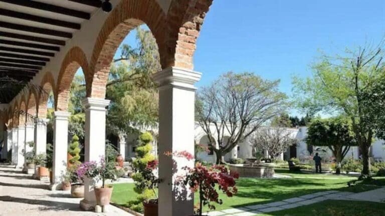 Vicente Fox renta su rancho en Airbnb: ¿Cuánto cuesta hospedarse?