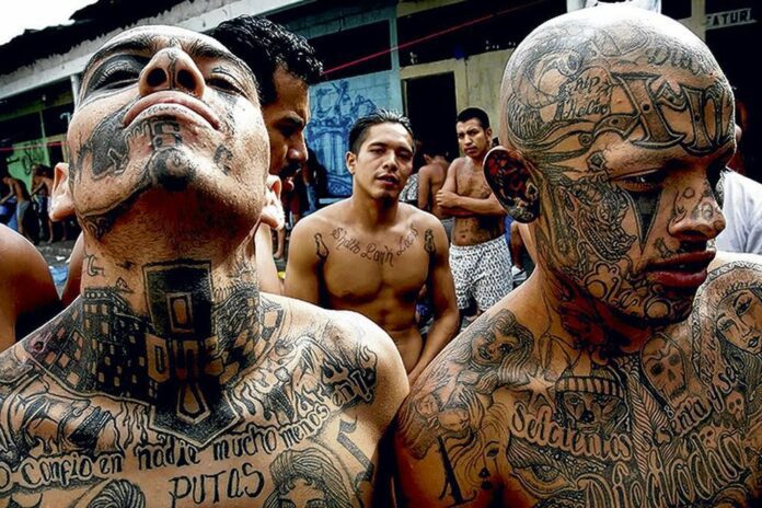 El Salvador decreta el estado de excepción ante aumento de homicidios