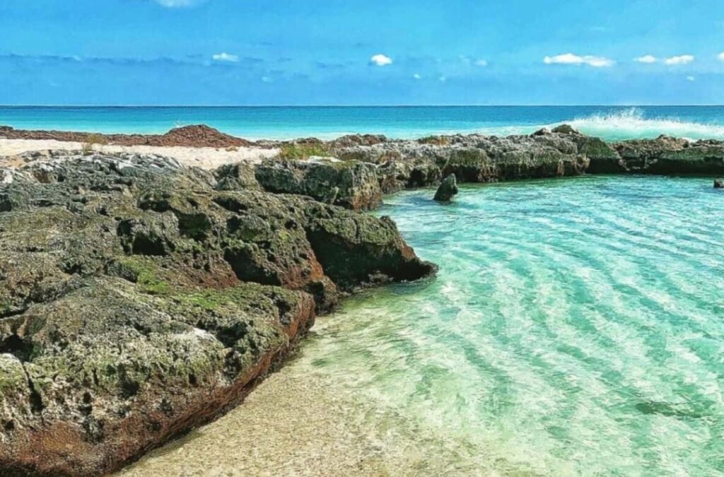 ¿Por qué el Tren Maya amenaza el Acuífero y el color Turquesa de la Riviera Maya? 