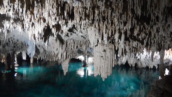 ¿Por qué el Tren Maya amenaza el Acuífero y el color Turquesa de la Riviera Maya? 