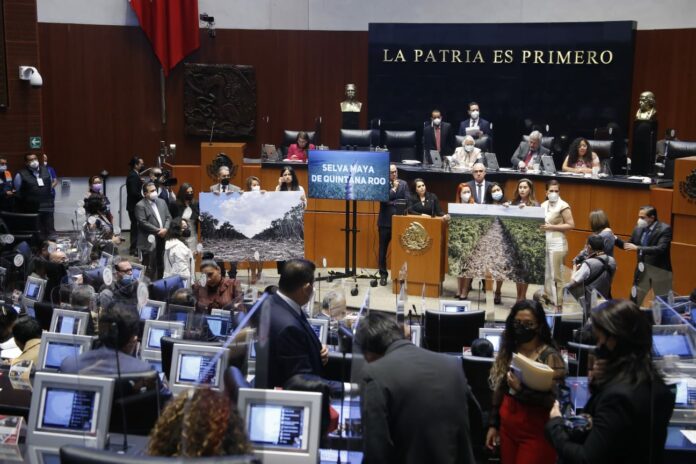 “Titulares de Fonatur, Semarnat y Profepa deben responder por el daño a nuestros recursos naturales” Mayuli Martínez