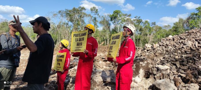 Greenpeace llama a proteger la selva maya