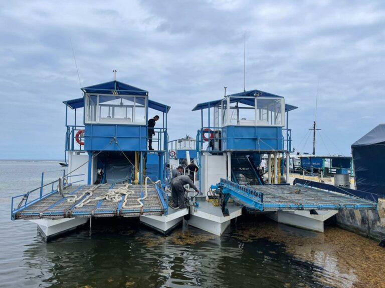 Listos seis buques sargaceros para contener el alga en Quintana Roo