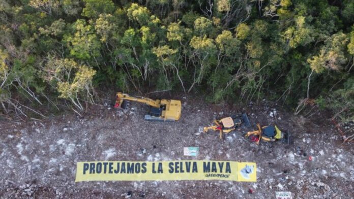 Activistas de Greenpeace inmovilizan maquinaria del Tren Maya por deforestación