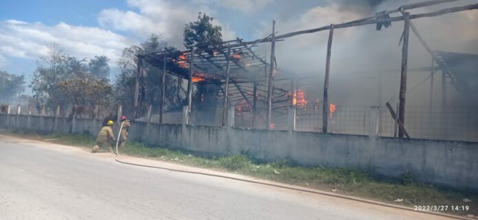 Voraz incendio consume predio baldío en las inmediaciones de la Expoferia en Tulum ￼