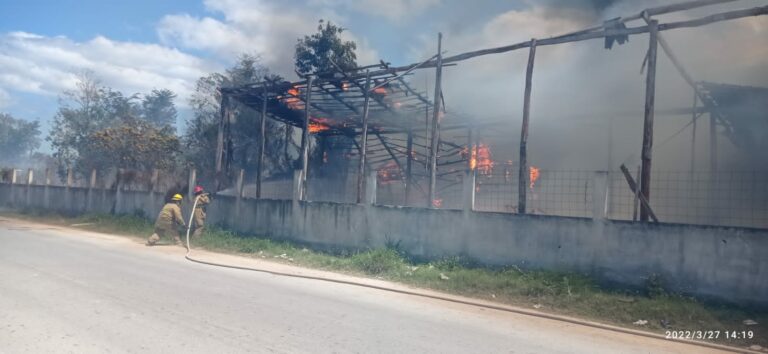 Voraz incendio consume predio baldío en las inmediaciones de la Expoferia en Tulum ￼