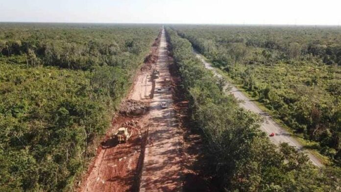 Presentan primeros amparos contra devastación de selva en Tramo 5 del Tren Maya