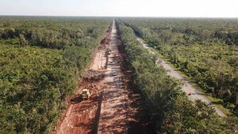 Presentan primeros amparos contra devastación de selva en Tramo 5 del Tren Maya
