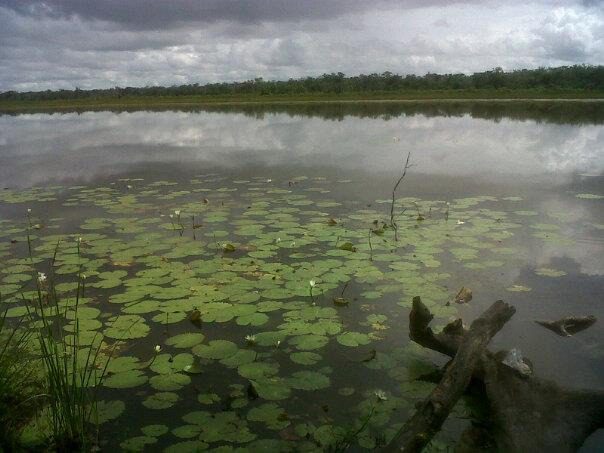 Comunidad maya bebe agua de la laguna ante falta de servicios