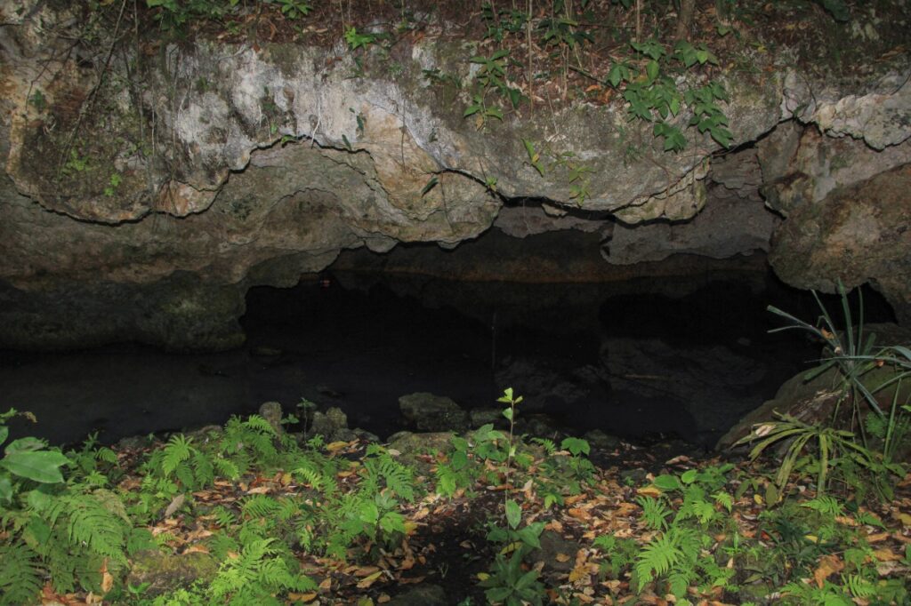 Celebran Día Mundial del Agua en Cancún con actividades y jornadas de limpieza