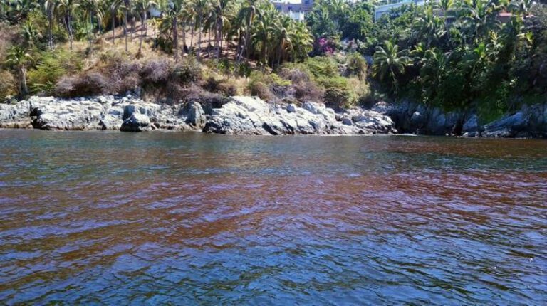 Alertan sobre marea roja tóxica en playas de Manzanillo