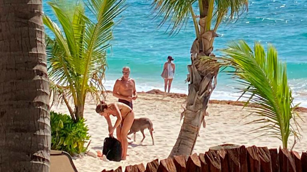 Analizan prohibir perros en playas de Tulum, ante irresponsabilidad de dueños