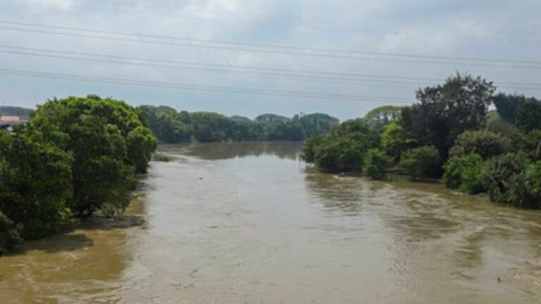 Confesó no tener recursos para alimentarlo: madre arroja a su hijo al río y arriesga 10 años de cárcel