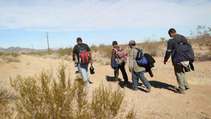Desierto de Arizona: 26 cuerpos de migrantes han sido recuperados en lo que va del 2022