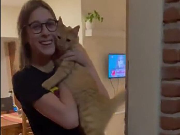 Chica olvida llaves del departamento y gatito le abre la puerta