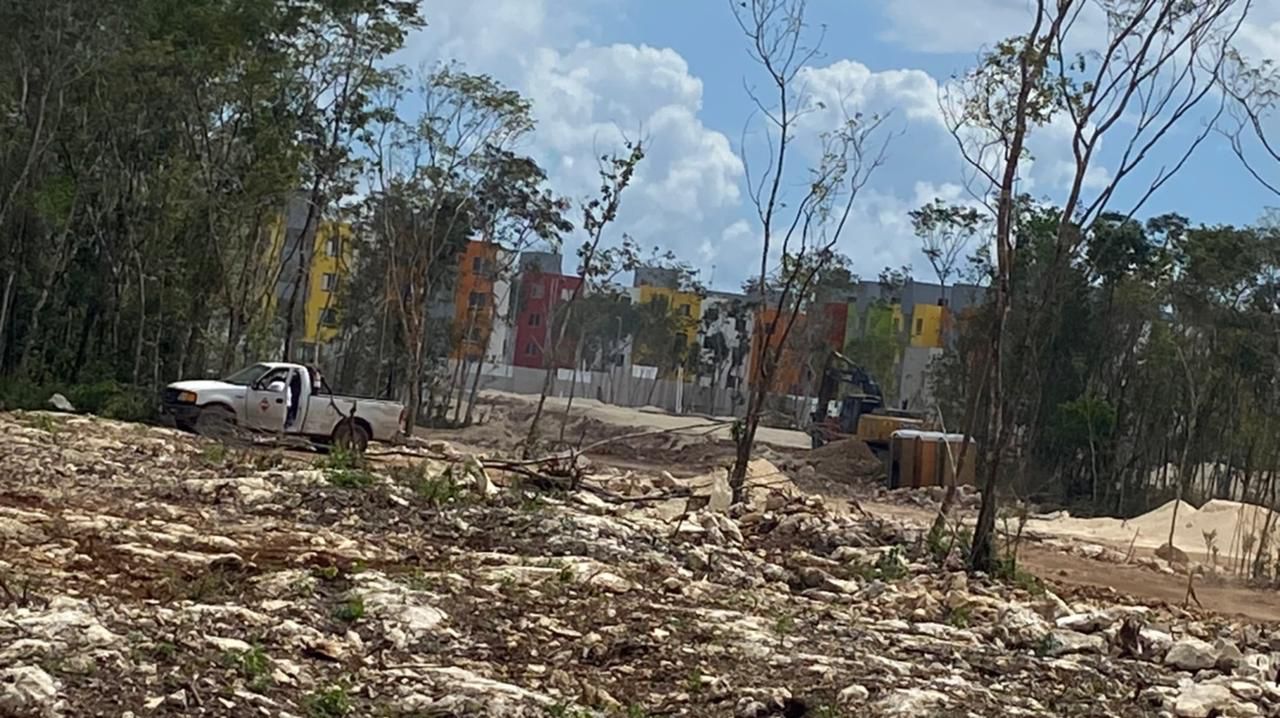 Nuevo ecocidio en Playa del Carmen: denuncian devastación de Ara en Villas del Sol