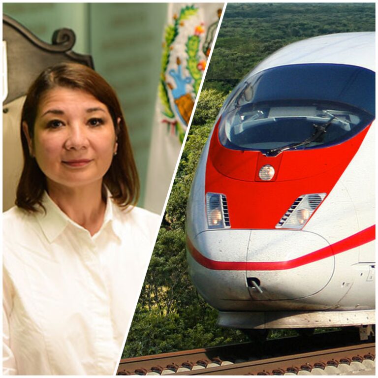Exige Kira Iris detener obras del Tren Maya y  reparar los daños ocasionados