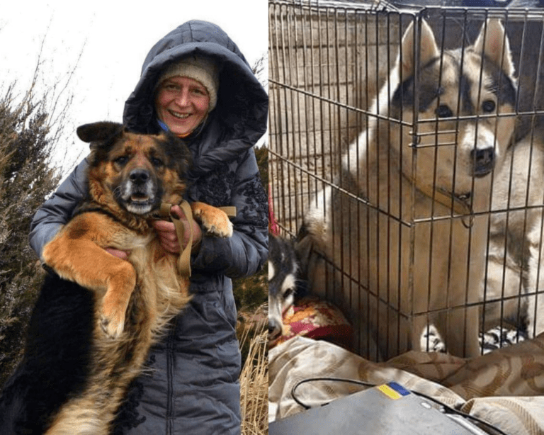 Natasha Derkach, una mujer ucraniana se ganó el respeto de la comunidad como rescatadora independiente de perritos.