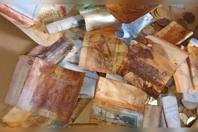 Hombre pierde todos sus ahorros porque sus billetes se pudrieron