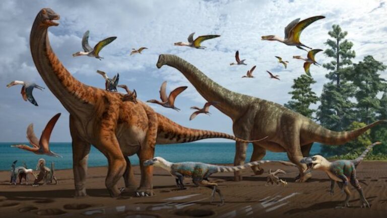 Fósil reveló que los dinosaurios empollaban sus huevos