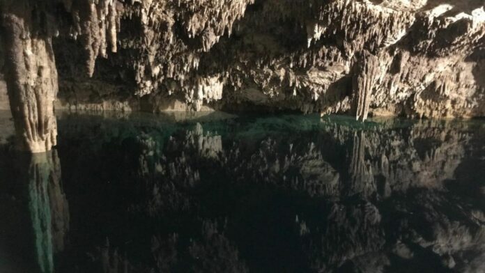 Ayudarán asociaciones ambientalistas a proteger cavernas y cenotes en Playa del Carmen
