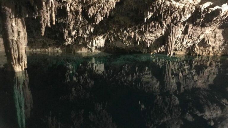 Ayudarán asociaciones ambientalistas a proteger cavernas y cenotes en Playa del Carmen