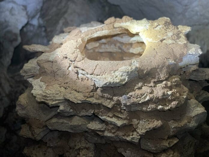 Ambientalistas encuentran importante vestigio arqueológico en el trazo 5 del Tren Maya