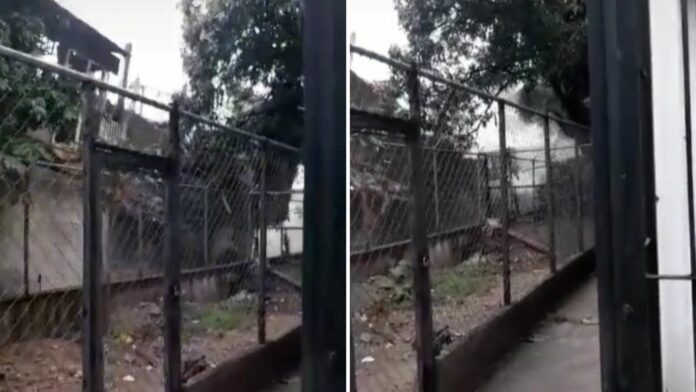 Las lluvias traen consigo deslizamientos de tierras e inundaciones que afectan a cientos de familias, tal y como ocurrió en Caracas, capital de Venezuela.